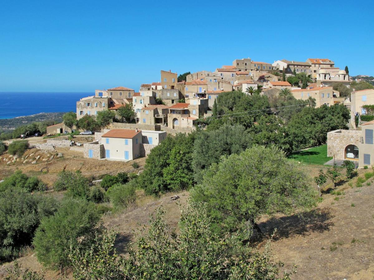 Apartment Residence De La Plage - Iru151 By Interhome LʼÎle-Rousse Zewnętrze zdjęcie